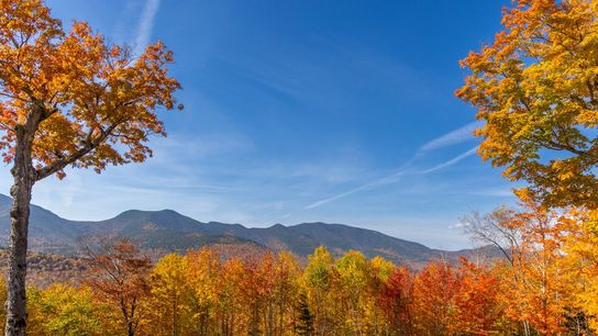 How Much Does an Acre of Land Cost in New Hampshire? Granite State Ranks Among America’s Most Expensive (featured)